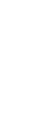 藤崎八幡宮